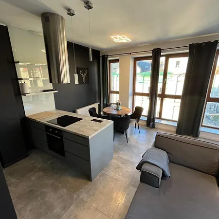 Windows To The Stylish Apartament