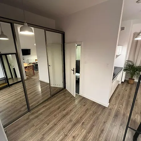 Windows To The Stylish Appartamento Poznań