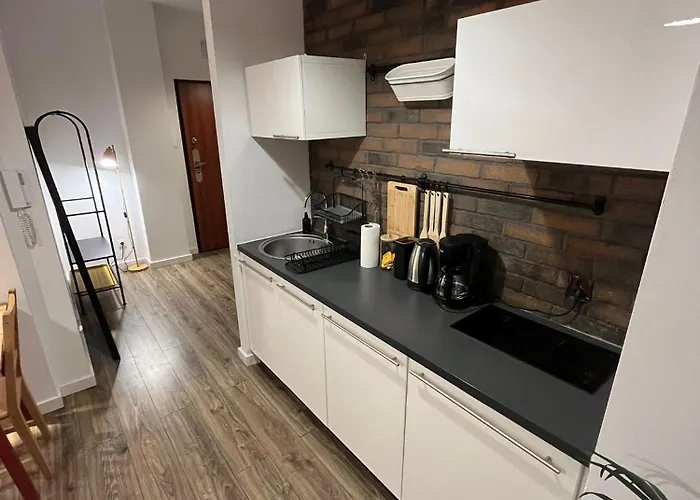 דירה Windows To The Stylish פוזנן